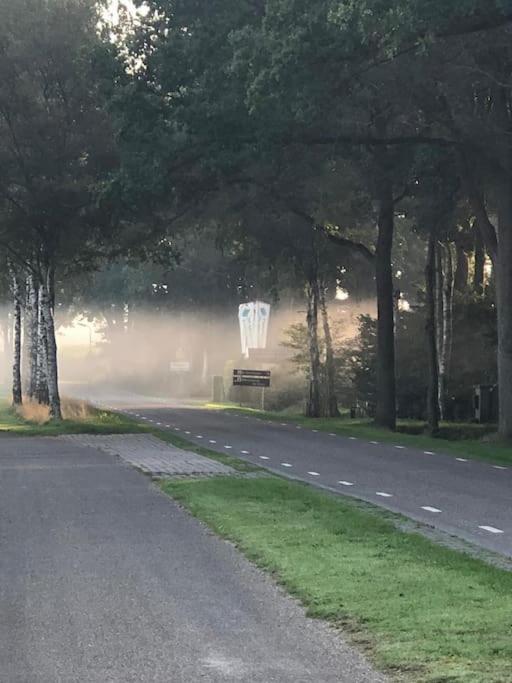 Vila Saevis Tranquillus In Undis In De Ijsvogel Diffelen Exteriér fotografie