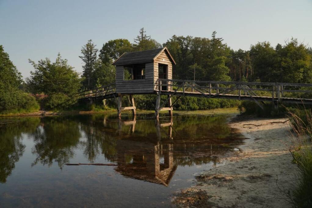 Vila Saevis Tranquillus In Undis In De Ijsvogel Diffelen Exteriér fotografie