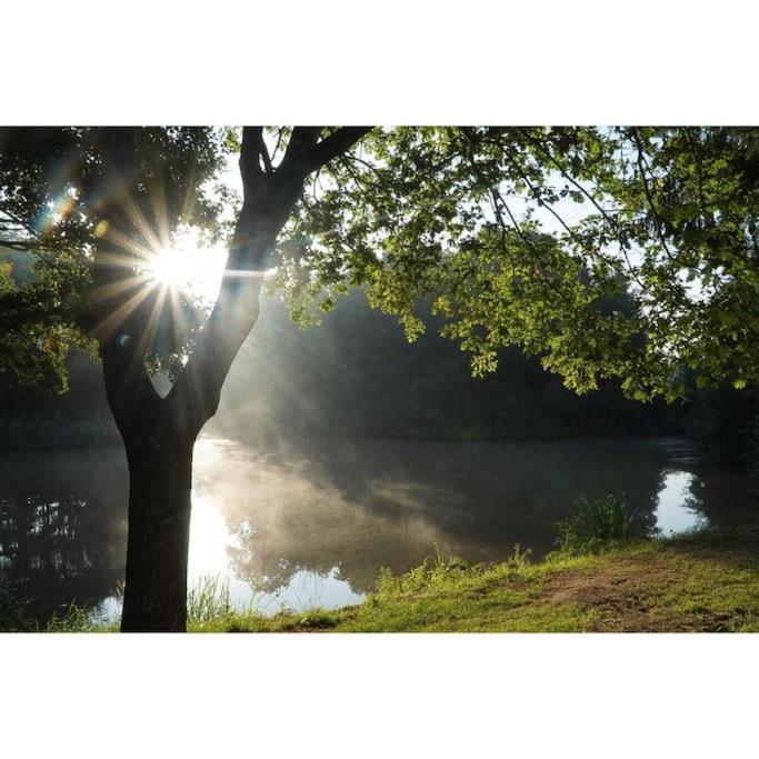 Vila Saevis Tranquillus In Undis In De Ijsvogel Diffelen Exteriér fotografie